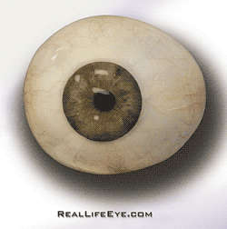 Lenticular demonstrating how realistic a replacement eye can look